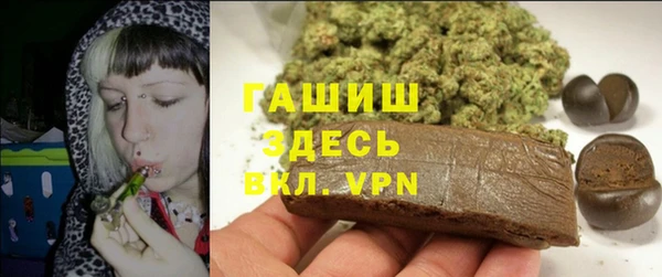 дмт Гусев