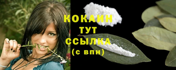 винт Надым