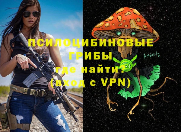 винт Надым