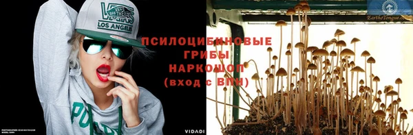 дмт Гусев