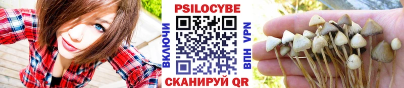 Галлюциногенные грибы MAGIC MUSHROOMS  купить наркотики цена  OMG как войти  Озёрск 